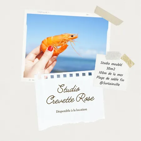 Crevette Rose A 100m De La De Sable De Apartment *
