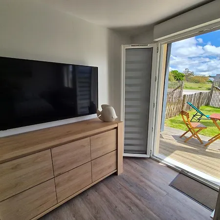 Crevette Rose A 100m De La De Sable De Apartment