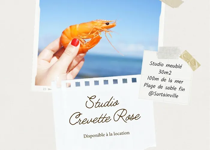 Crevette Rose à 100m De La De Sable De Appartement *