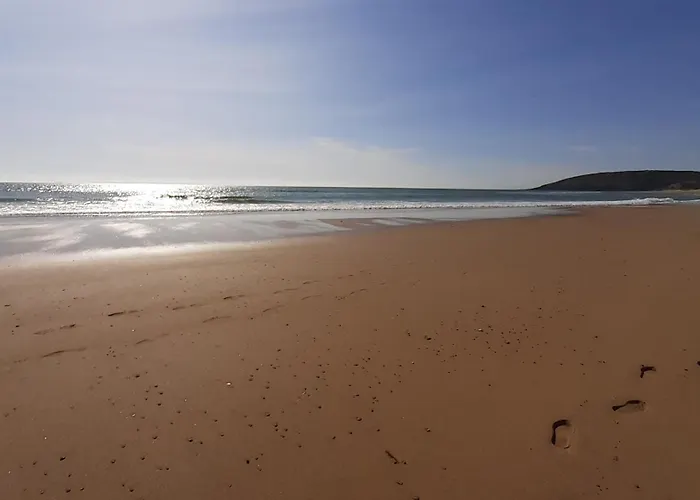 Crevette Rose A 100m De La De Sable De Apartman Surtainville