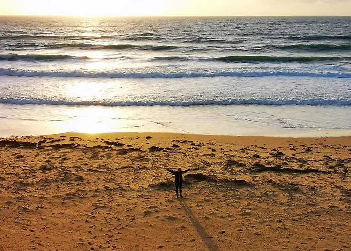 Appartement Crevette Rose à 100m De La De Sable De *