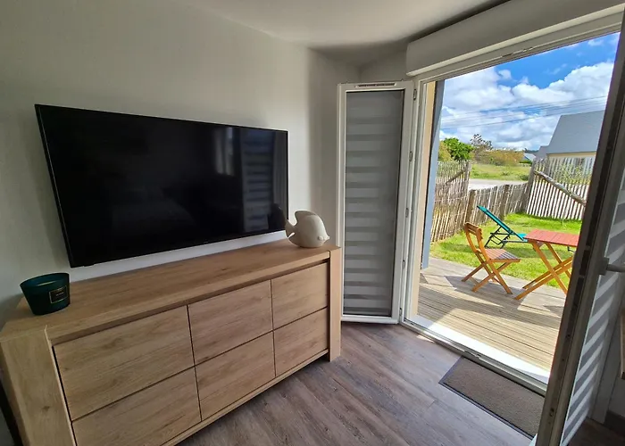 Crevette Rose A 100m De La De Sable De Apartman