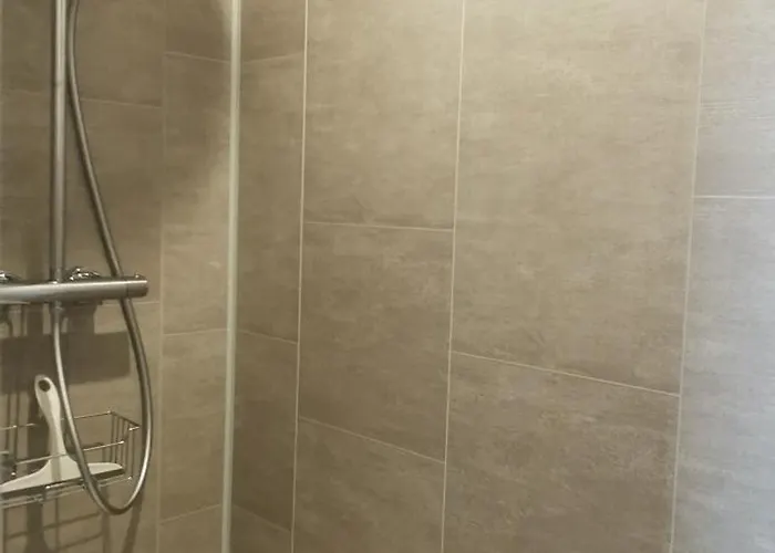 Crevette Rose à 100m De La De Sable De Appartement *